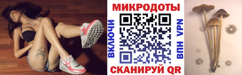 Галлюциногенные грибы мухоморы  закладка  Моршанск 