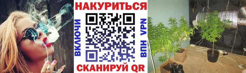 Шишки марихуана марихуана Моршанск
